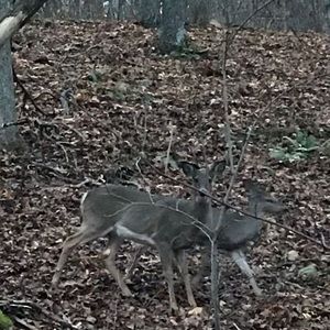 Meet your Posher, Wesley